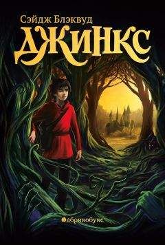Читайте книги онлайн на Bookidrom.ru! Бесплатные книги в одном клике Сэйдж Блэквуд - Джинкс