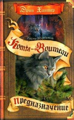 Читайте книги онлайн на Bookidrom.ru! Бесплатные книги в одном клике Эрин Хантер - Тайна Щербатой. Предназначение