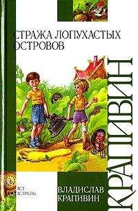 Читайте книги онлайн на Bookidrom.ru! Бесплатные книги в одном клике Владислав Крапивин - Стража Лопухастых островов