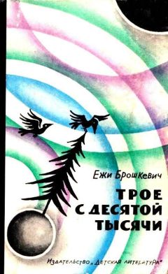 Читайте книги онлайн на Bookidrom.ru! Бесплатные книги в одном клике Ежи Брошкевич - Трое с десятой тысячи