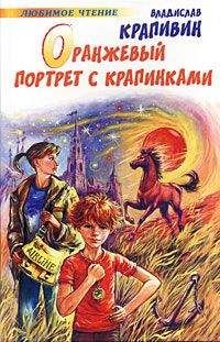 Читайте книги онлайн на Bookidrom.ru! Бесплатные книги в одном клике Владислав Крапивин - Оранжевый портрет с крапинками