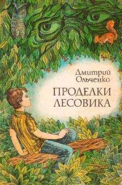 Читайте книги онлайн на Bookidrom.ru! Бесплатные книги в одном клике Дмитрий Ольченко - Проделки лесовика