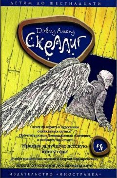 Читайте книги онлайн на Bookidrom.ru! Бесплатные книги в одном клике Дэвид Амонд - Скеллиг