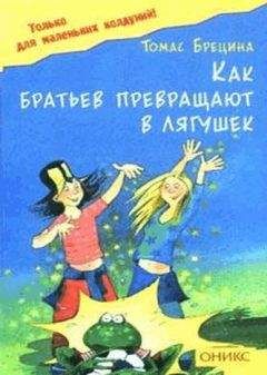 Читайте книги онлайн на Bookidrom.ru! Бесплатные книги в одном клике Томас Брецина - Как братьев превращают в лягушек