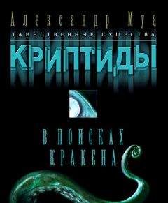 Читайте книги онлайн на Bookidrom.ru! Бесплатные книги в одном клике Александр Муа - В поисках кракена
