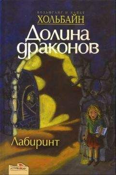 Читайте книги онлайн на Bookidrom.ru! Бесплатные книги в одном клике Вольфганг Хольбайн - Лабиринт