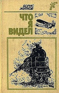 Читайте книги онлайн на Bookidrom.ru! Бесплатные книги в одном клике Борис Житков - Что я видел