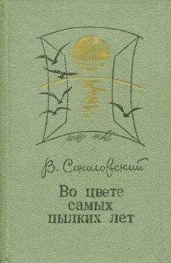 Читайте книги онлайн на Bookidrom.ru! Бесплатные книги в одном клике Владимир Соколовский - Во цвете самых пылких лет