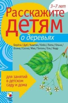 Читайте книги онлайн на Bookidrom.ru! Бесплатные книги в одном клике Лариса Бурмистрова - Расскажите детям о деревьях