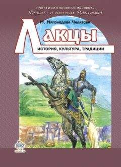 Читайте книги онлайн на Bookidrom.ru! Бесплатные книги в одном клике Мариян Магомедова-Чалабова - Лакцы. История, культура, традиции