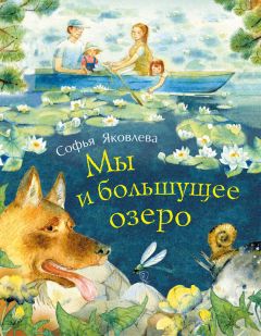 Читайте книги онлайн на Bookidrom.ru! Бесплатные книги в одном клике Софья Яковлева - Мы и большущее озеро