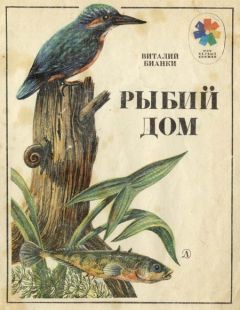 Читайте книги онлайн на Bookidrom.ru! Бесплатные книги в одном клике Виталий Бианки - Рыбий дом