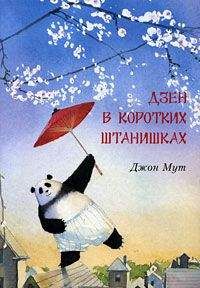 Читайте книги онлайн на Bookidrom.ru! Бесплатные книги в одном клике Джон Мут - Дзен в коротких штанишках