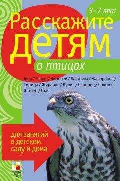 Читайте книги онлайн на Bookidrom.ru! Бесплатные книги в одном клике Лариса Бурмистрова - Расскажите детям о птицах