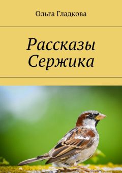 Читайте книги онлайн на Bookidrom.ru! Бесплатные книги в одном клике Ольга Гладкова - Рассказы Сержика