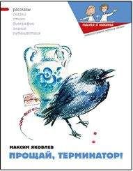 Читайте книги онлайн на Bookidrom.ru! Бесплатные книги в одном клике Максим Яковлев - Прощай, Терминатор!