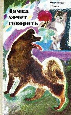 Читайте книги онлайн на Bookidrom.ru! Бесплатные книги в одном клике Александр Панов - Дамка хочет говорить