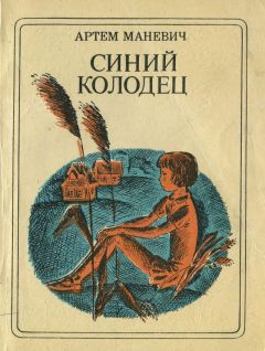 Читайте книги онлайн на Bookidrom.ru! Бесплатные книги в одном клике Артем Маневич - Синий Колодец
