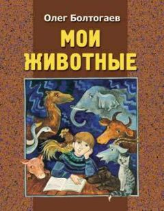 Читайте книги онлайн на Bookidrom.ru! Бесплатные книги в одном клике Олег Болтогаев - Ути - ути