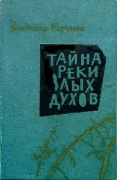 Читайте книги онлайн на Bookidrom.ru! Бесплатные книги в одном клике Владимир Корчагин - Тайна реки Злых Духов