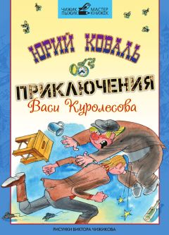 Читайте книги онлайн на Bookidrom.ru! Бесплатные книги в одном клике Юрий Коваль - Приключения Васи Куролесова (с иллюстрациями)