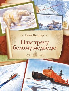 Читайте книги онлайн на Bookidrom.ru! Бесплатные книги в одном клике Олег Бундур - Навстречу белому медведю