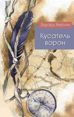 Читайте книги онлайн на Bookidrom.ru! Бесплатные книги в одном клике Эдуард Веркин - Кусатель ворон