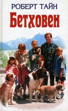 Читайте книги онлайн на Bookidrom.ru! Бесплатные книги в одном клике Роберт Тайн - Бетховен