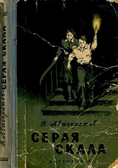 Читайте книги онлайн на Bookidrom.ru! Бесплатные книги в одном клике Николай Автократов - Серая скала [с иллюстрациями]