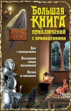 Читайте книги онлайн на Bookidrom.ru! Бесплатные книги в одном клике Валерий Гусев - Большая книга приключений с привидениями