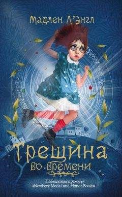 Читайте книги онлайн на Bookidrom.ru! Бесплатные книги в одном клике Мадлен Л'Энгл - Трещина во времени