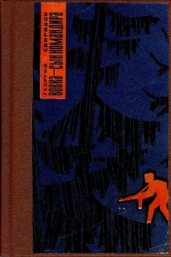 Читайте книги онлайн на Bookidrom.ru! Бесплатные книги в одном клике Георгий Свиридов - Вовка - сын командира, или необыкновенные приключения в тылу врага