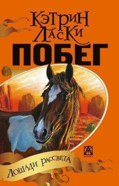 Читайте книги онлайн на Bookidrom.ru! Бесплатные книги в одном клике Кэтрин Ласки - Побег