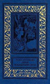 Читайте книги онлайн на Bookidrom.ru! Бесплатные книги в одном клике Ирина Стрелкова - Одна лошадиная сила