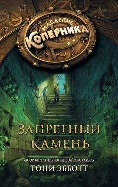 Читайте книги онлайн на Bookidrom.ru! Бесплатные книги в одном клике Тони Эбботт - Запретный камень