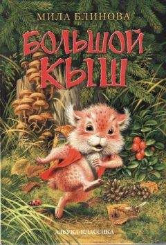 Читайте книги онлайн на Bookidrom.ru! Бесплатные книги в одном клике Мила Блинова - Большой Кыш