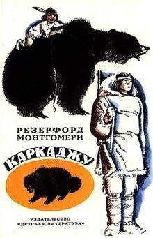Читайте книги онлайн на Bookidrom.ru! Бесплатные книги в одном клике Резерфорд Монтгомери - Каркаджу