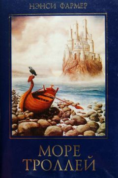 Читайте книги онлайн на Bookidrom.ru! Бесплатные книги в одном клике Нэнси Фармер - Море Троллей