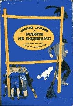 Читайте книги онлайн на Bookidrom.ru! Бесплатные книги в одном клике Ласло Харш - Ребята не подведут!