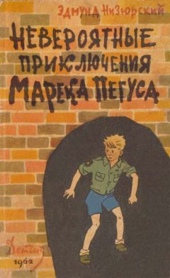 Читайте книги онлайн на Bookidrom.ru! Бесплатные книги в одном клике Эдмунд Низюрский - Невероятные приключения Марека Пегуса