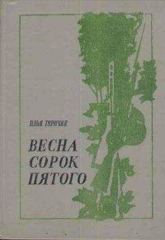 Читайте книги онлайн на Bookidrom.ru! Бесплатные книги в одном клике Илья Туричин - Весна сорок пятого