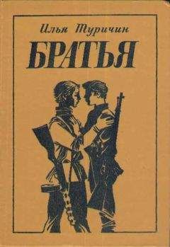 Читайте книги онлайн на Bookidrom.ru! Бесплатные книги в одном клике Илья Туричин - Братья