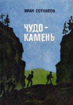 Читайте книги онлайн на Bookidrom.ru! Бесплатные книги в одном клике Иван Сотников - Чудо-камень