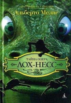 Читайте книги онлайн на Bookidrom.ru! Бесплатные книги в одном клике Альберто Мелис - Тайна озера Лох-Несс