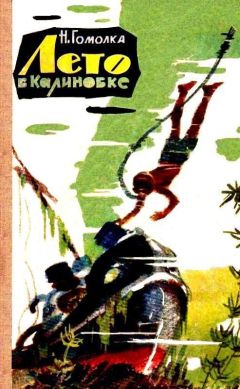 Читайте книги онлайн на Bookidrom.ru! Бесплатные книги в одном клике Николай Гомолка - Лето в Калиновке