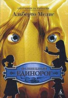 Читайте книги онлайн на Bookidrom.ru! Бесплатные книги в одном клике Альберто Мелис - Волшебный единорог