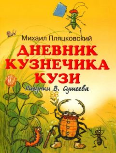 Читайте книги онлайн на Bookidrom.ru! Бесплатные книги в одном клике Михаил Пляцковский - Дневник кузнечика Кузи