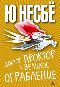 Читайте книги онлайн на Bookidrom.ru! Бесплатные книги в одном клике Ю Несбё - Доктор Проктор и великое ограбление