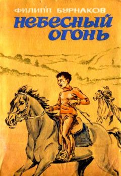 Читайте книги онлайн на Bookidrom.ru! Бесплатные книги в одном клике Филипп Бурнаков - Небесный огонь