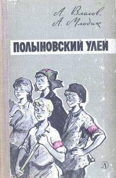 Читайте книги онлайн на Bookidrom.ru! Бесплатные книги в одном клике Александр Власов - Полыновский улей